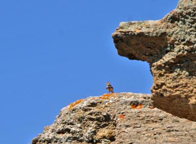 Прикрепленное изображение: zb28.jpg